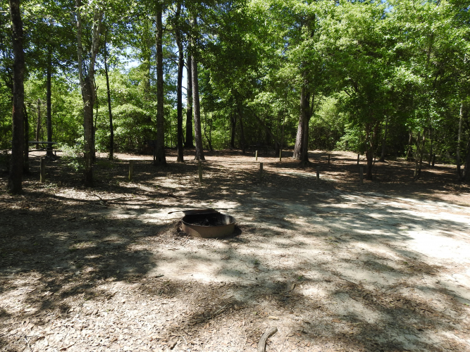 Bluff_site_banner