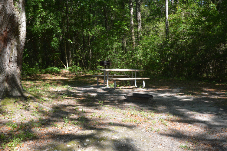 Boynton3_site_banner
