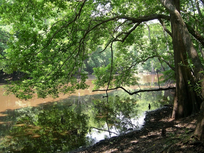 Florida River Island
