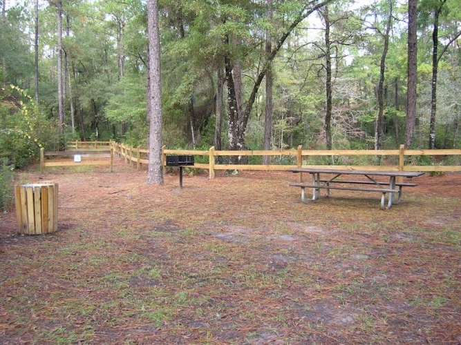 Devil's Hole site banner