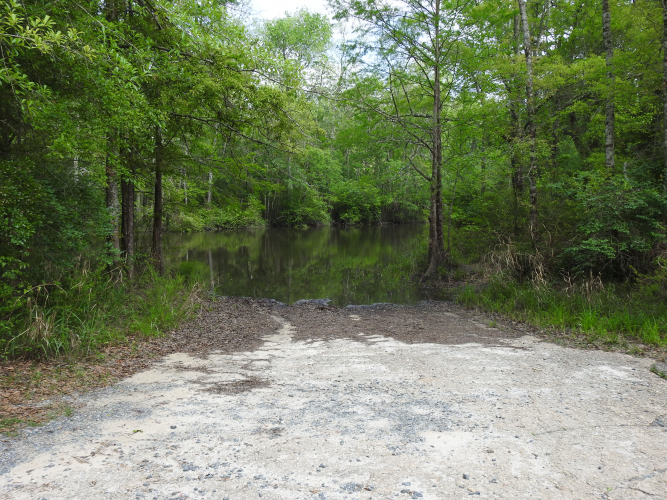 Fisher site banner