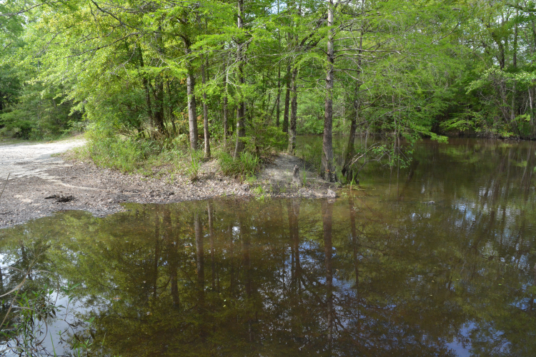 Fisher site banner