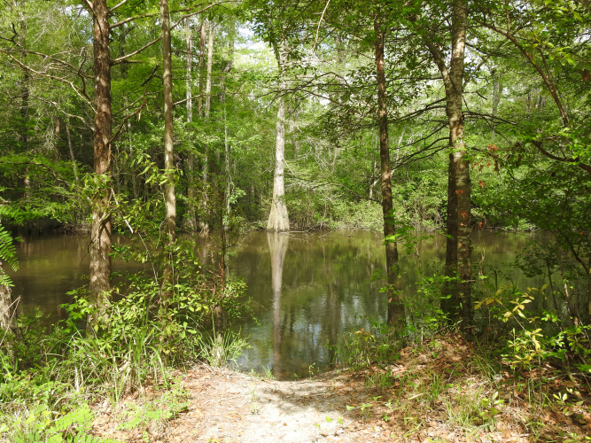 Fisher3_site_banner