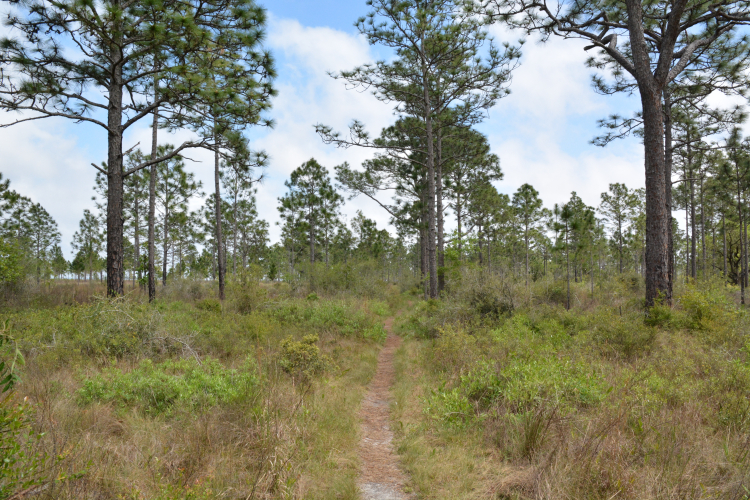 garcon site banner