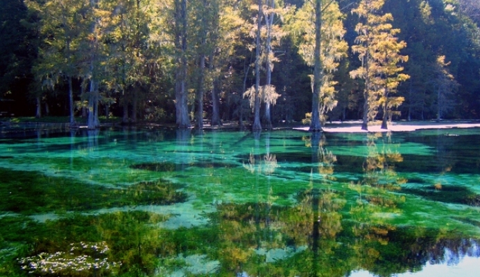 Jackson_Blue_Spring