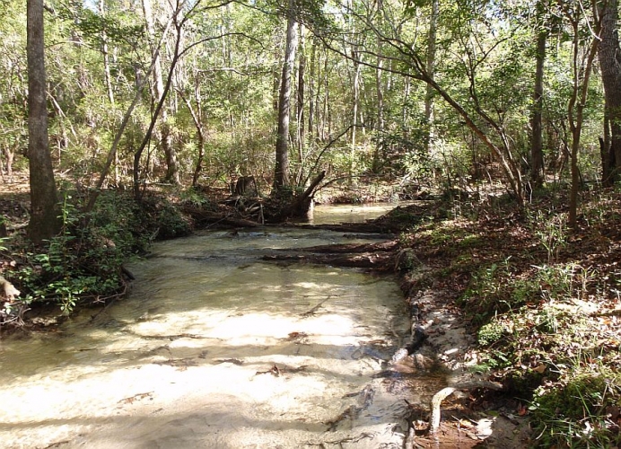 Beaverdam Creek Tract