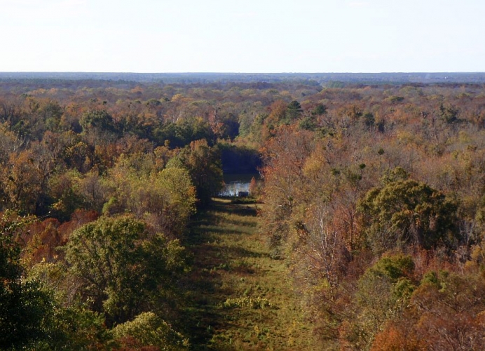 Beaverdam Creek Tract