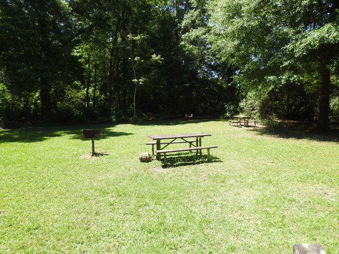 Pipes site banner