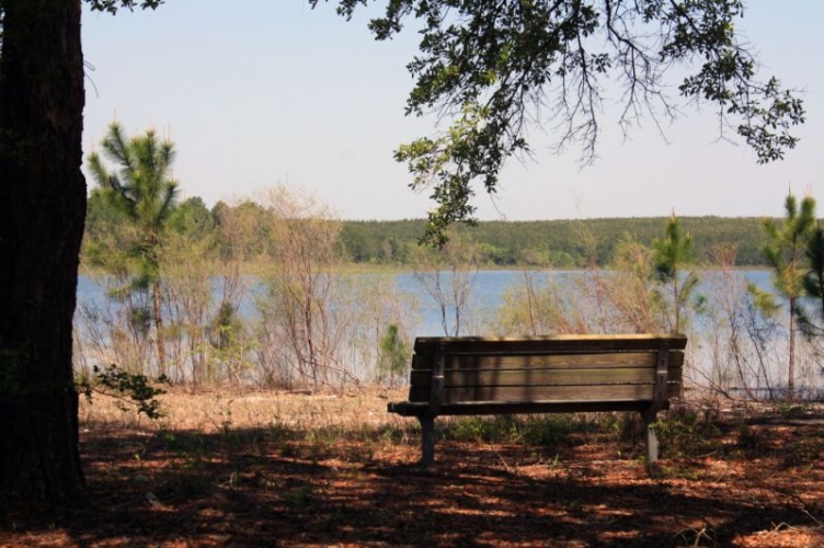 Rattle site banner