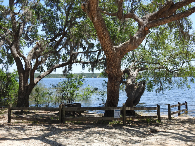 WhiteOak5_site_banner