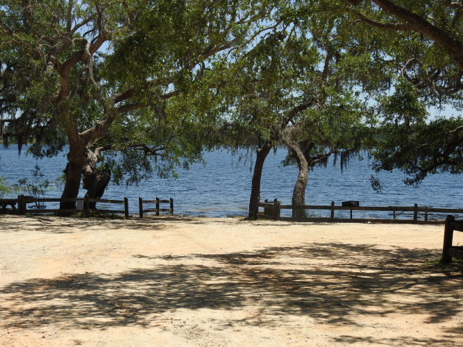 WhiteOak9_site_banner