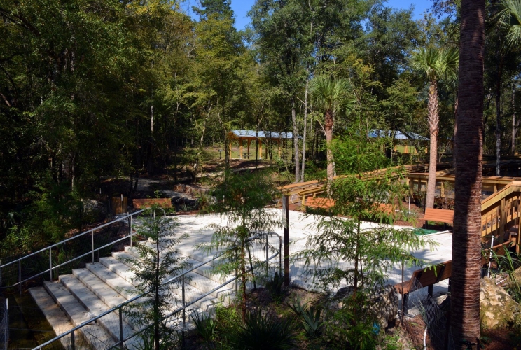Williford_Spring2_site_banner