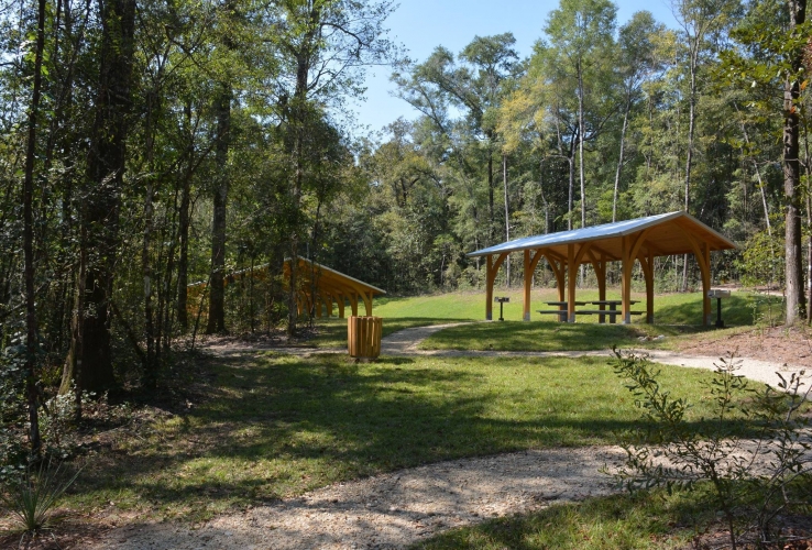 Williford_Spring3_site_banner