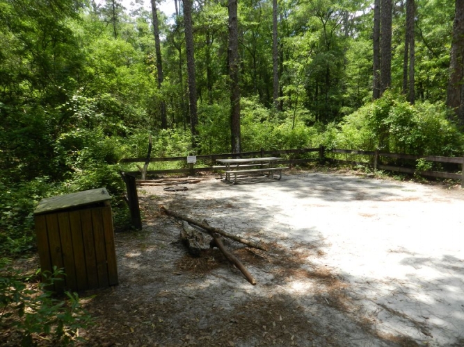 longleaf site banner