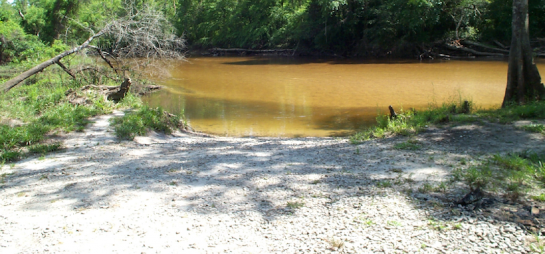 reedy site banner