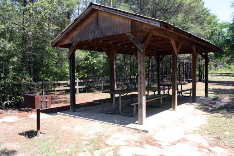 ridge site banner