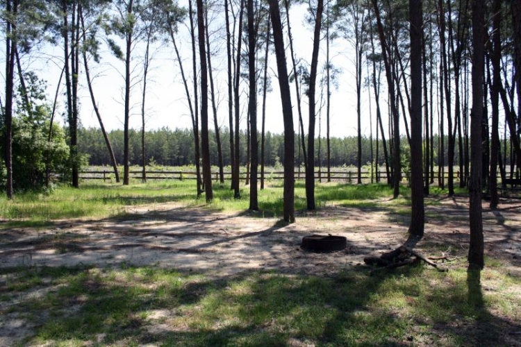 ridge site banner