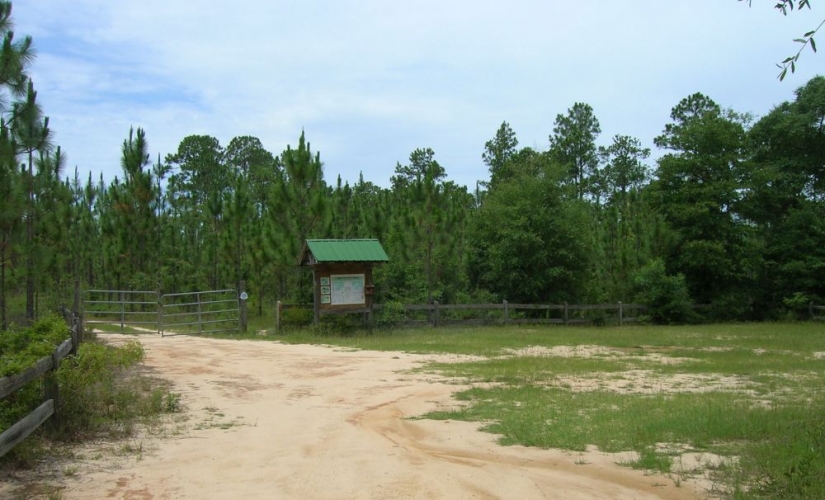 scottroad_site_banner