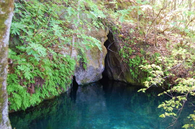 Chipola River