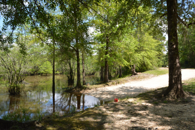 Photo of Webb Landing Recreation Area