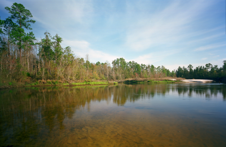 Photo of Perdido River Water Management Area