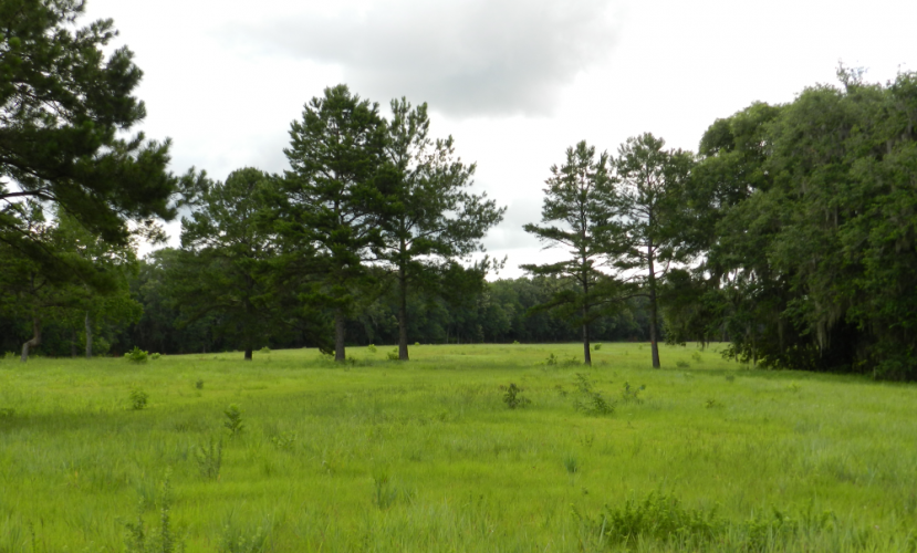 Photo of Elinor Klapp-Phipps Park Water Management Area