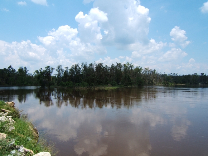 Photo of Escambia River Water Management Area