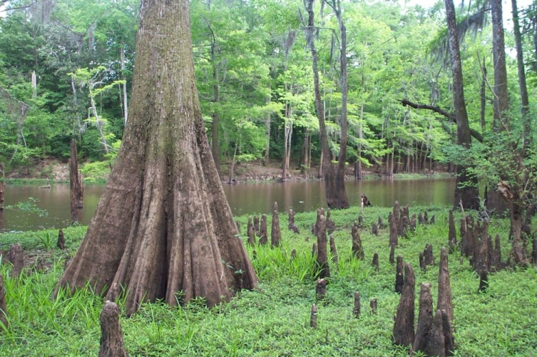 Photo of Salters Lake