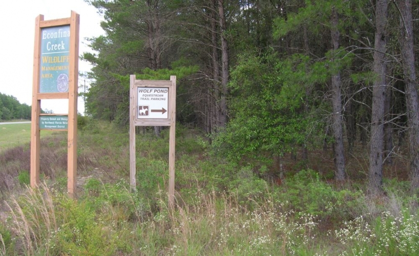 Photo of Wolf Pond North
