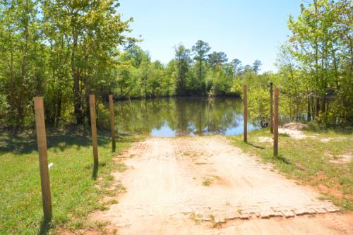 Bluff_site_banner