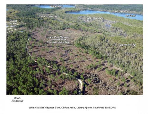 Flatwoods East 1 101110ab