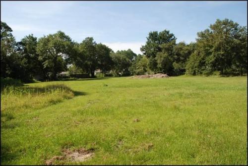 Parker-Retention-Before