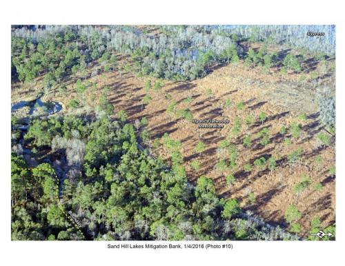SHLMB Aerial 010416 No 10