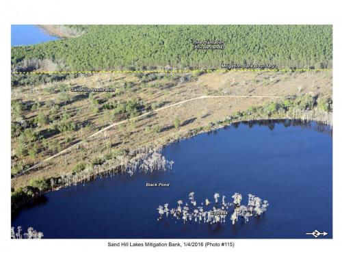 SHLMB Aerial 010416 No 115