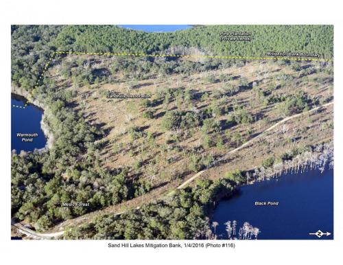 SHLMB Aerial 010416 No 116