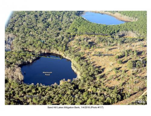 SHLMB Aerial 010416 No 117