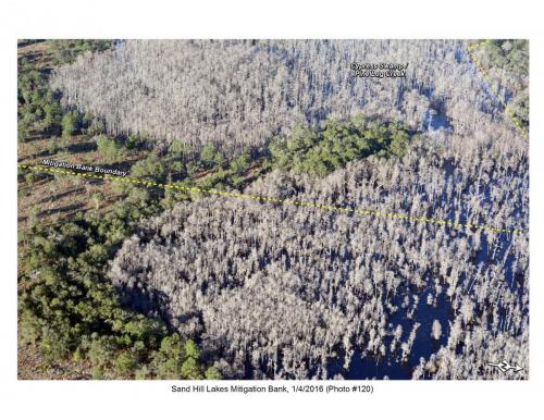 SHLMB Aerial 010416 No 120