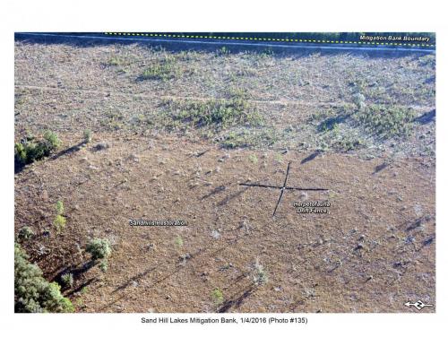 SHLMB Aerial 010416 No 135