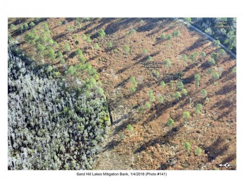 SHLMB Aerial 010416 No 141