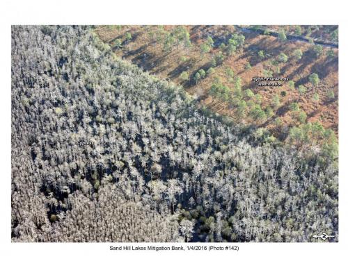SHLMB Aerial 010416 No 142
