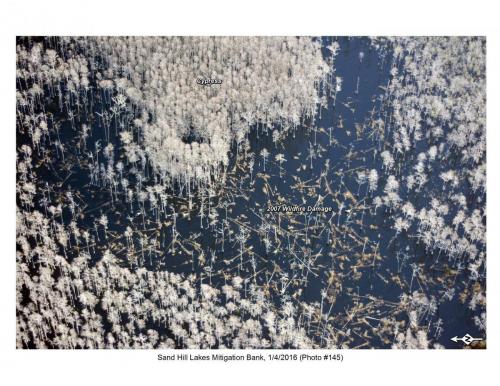 SHLMB Aerial 010416 No 145