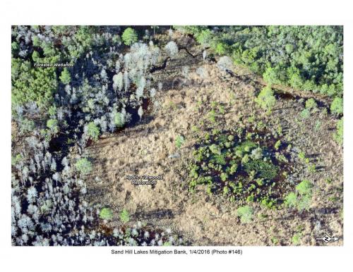 SHLMB Aerial 010416 No 146