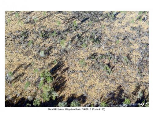 SHLMB Aerial 010416 No 153