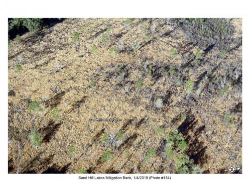 SHLMB Aerial 010416 No 154