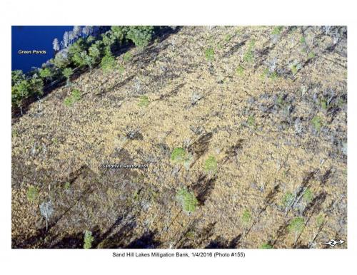 SHLMB Aerial 010416 No 155