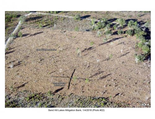 SHLMB Aerial 010416 No 22