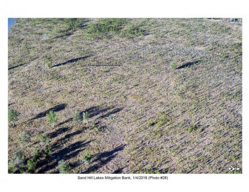 SHLMB Aerial 010416 No 28