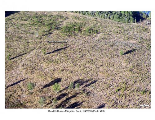 SHLMB Aerial 010416 No 29