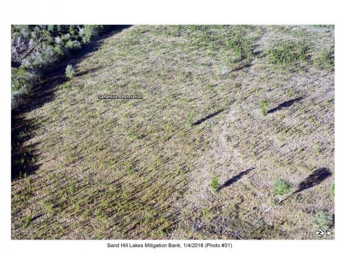 SHLMB Aerial 010416 No 31
