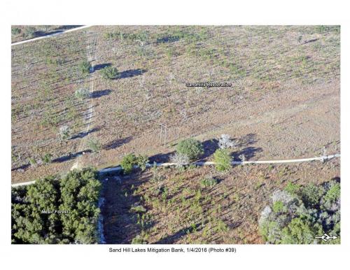 SHLMB Aerial 010416 No 39
